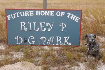 Riley P Dog Park photo 2